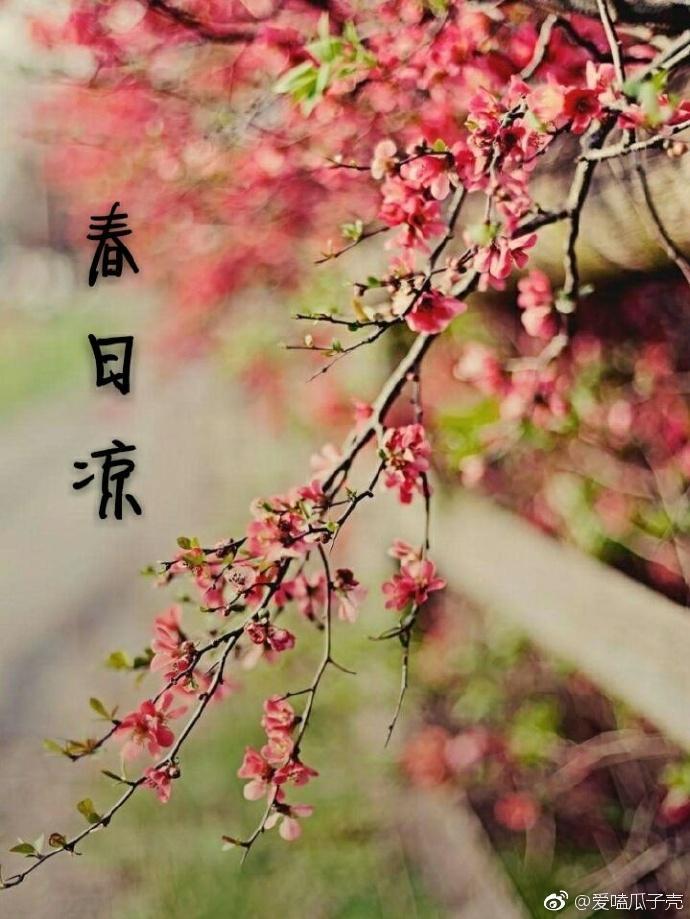 春日涼