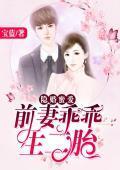 隐婚蜜愛：前妻乖乖生二胎