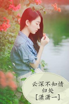 雲深不知情歸處