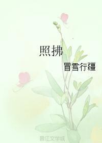 照拂