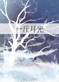 一斤月光