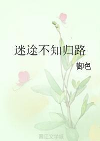 迷途不知歸路