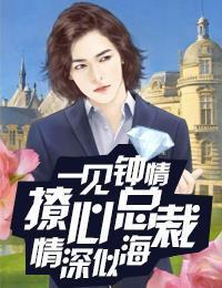 一見鐘情：撩心總裁情深似海