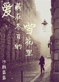 愛藏在冬日的雪花裏