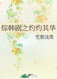 綜韓劇之灼灼其華