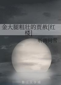 金大腿粗壯的賈赦[紅樓]