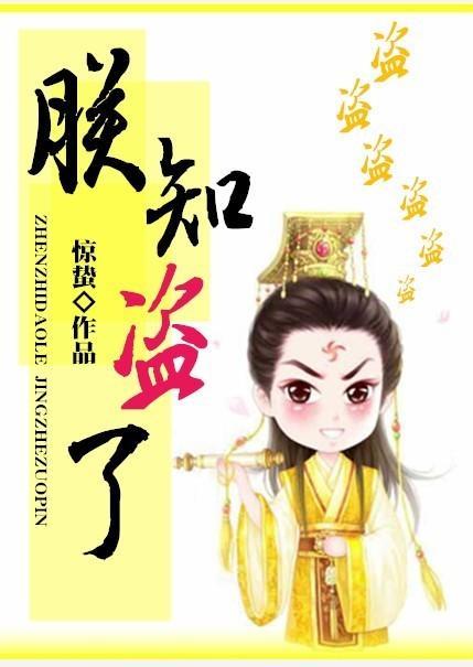 朕知盜了