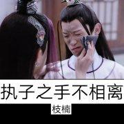 執子之手不相離［刺客列傳］