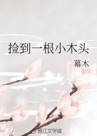 撿到一根小木頭