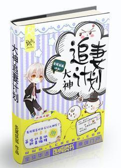 大神追妻計劃