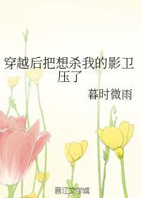 穿越後把想殺我的影衛壓了