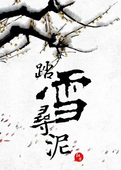 踏雪尋泥