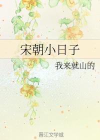 宋朝小日子
