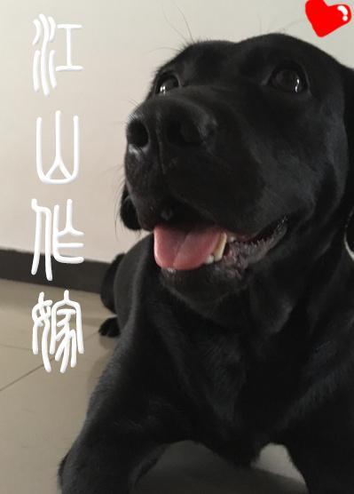 江山作嫁
