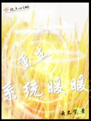 重生系統暖暖