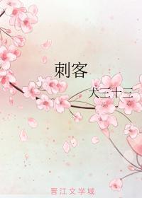 刺客