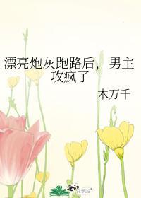 漂亮炮灰跑路後，男主攻瘋了