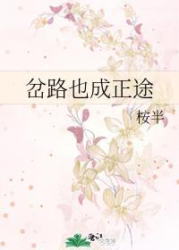 岔路也成正途