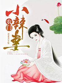 農門小辣妻