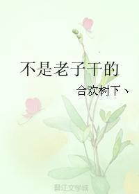 不是老子幹的