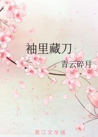 袖裏藏刀
