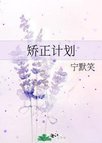 矯正計劃