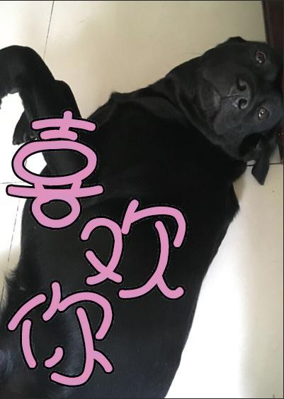 喜歡你