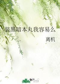 裝黑暗本丸我容易麽