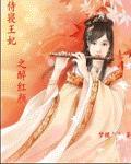 侍寝王妃之醉紅顏