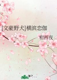 [文豪野犬]橫濱戀伽