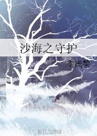 沙海之守護