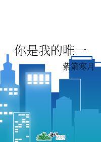 你是我的唯一