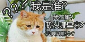 殺手慫噠噠