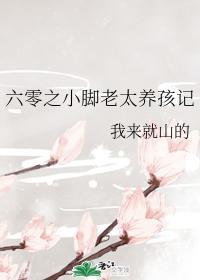 六零之小腳老太養孩記