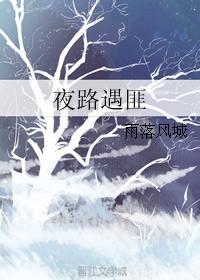 夜路遇匪