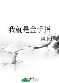 我就是金手指