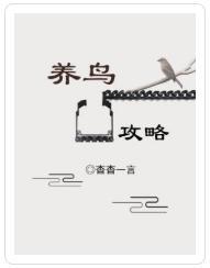 養鳥攻略