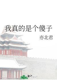 我真的是個傻子