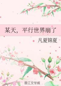 某天，平行世界崩了