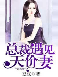 總裁遇見天價妻