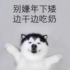 【西幻】光明之城