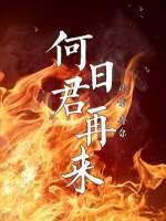何日君再來
