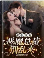 甜心澀愛，惡魔總裁別亂來