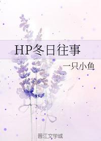 HP冬日往事