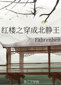 紅樓之穿成北靜王