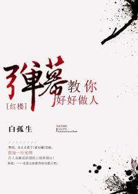 [紅樓]彈幕教你好好做人