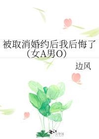 被取消婚約後我後悔了（女A男O）