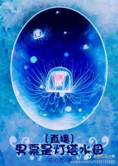 男票是燈塔水母〔直播〕