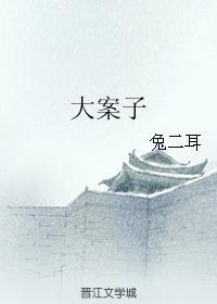 大案子