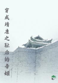 穿成靖康之恥後的帝姬